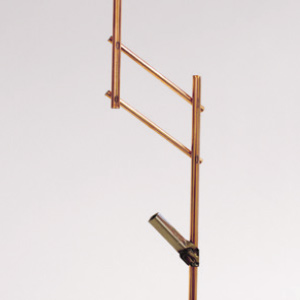 bhl ad albero hcs bhl